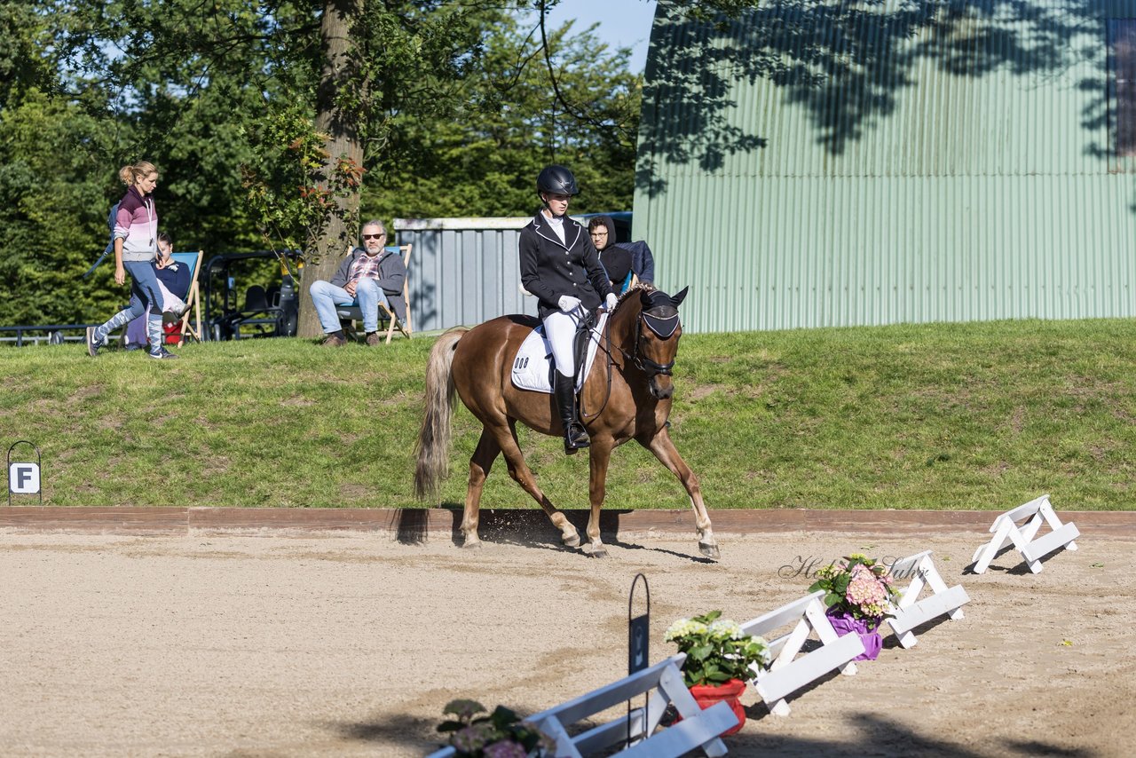 Bild 9 - Pony Akademie Turnier